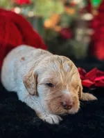 processed/8a4a3a12-6692-42a0-9c84-1f7e50eba6a7/listing/329d9c0f-11e4-4be3-82f6-15287495b8cb/3e2d6a18-9525-49a4-8781-859411cc8dbb