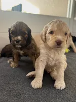 processed/8a4a3a12-6692-42a0-9c84-1f7e50eba6a7/listing/329d9c0f-11e4-4be3-82f6-15287495b8cb/6456cd05-e9a7-4270-81b9-ada5f5db7dae