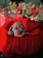 processed/8a4a3a12-6692-42a0-9c84-1f7e50eba6a7/listing/329d9c0f-11e4-4be3-82f6-15287495b8cb/854cc026-321b-419e-9d4f-5df8842ccb4c