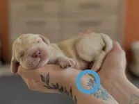 processed/8a4a3a12-6692-42a0-9c84-1f7e50eba6a7/listing/329d9c0f-11e4-4be3-82f6-15287495b8cb/ae4cbd83-d97c-4a27-a5f2-97db1874eba0