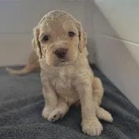 processed/8a4a3a12-6692-42a0-9c84-1f7e50eba6a7/listing/329d9c0f-11e4-4be3-82f6-15287495b8cb/dd44afff-34ea-4342-840b-f62772448684