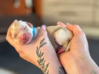 processed/8a4a3a12-6692-42a0-9c84-1f7e50eba6a7/listing/329d9c0f-11e4-4be3-82f6-15287495b8cb/f2adff5a-5c3c-49e3-b215-6c3c433fb148