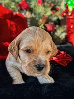 processed/8a4a3a12-6692-42a0-9c84-1f7e50eba6a7/listing/59c877c7-70b2-482d-a7a1-a6328f836d7a/2b4fe464-a5f4-4f5f-86f8-3cd7029a4238