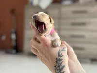 processed/8a4a3a12-6692-42a0-9c84-1f7e50eba6a7/listing/59c877c7-70b2-482d-a7a1-a6328f836d7a/982389da-38d9-48b9-a882-145b8abfce76