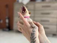 processed/8a4a3a12-6692-42a0-9c84-1f7e50eba6a7/listing/59c877c7-70b2-482d-a7a1-a6328f836d7a/ac774690-4bb5-4143-87a1-8fa139273d2e