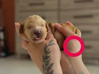 processed/8a4a3a12-6692-42a0-9c84-1f7e50eba6a7/listing/59c877c7-70b2-482d-a7a1-a6328f836d7a/add4338c-efc3-42c6-844a-c74e8f204675