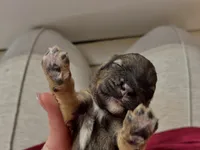 processed/8a4a3a12-6692-42a0-9c84-1f7e50eba6a7/listing/7d892ca7-4377-4d8a-a2d9-cae5afc5f920/4dc2b50f-9121-4167-879c-fd77611bfd04