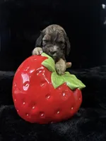 processed/8a4a3a12-6692-42a0-9c84-1f7e50eba6a7/listing/7d892ca7-4377-4d8a-a2d9-cae5afc5f920/a6759693-6237-45d2-8695-6c0ca43acf67