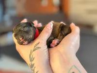 processed/8a4a3a12-6692-42a0-9c84-1f7e50eba6a7/listing/7d892ca7-4377-4d8a-a2d9-cae5afc5f920/b8d00aa6-53db-493c-9b41-b45e52c1a9d6