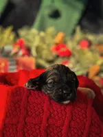 processed/8a4a3a12-6692-42a0-9c84-1f7e50eba6a7/listing/7d892ca7-4377-4d8a-a2d9-cae5afc5f920/d3a7c0c0-4a76-43f0-8f08-3d11c49fa9ed