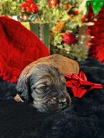 processed/8a4a3a12-6692-42a0-9c84-1f7e50eba6a7/listing/7d892ca7-4377-4d8a-a2d9-cae5afc5f920/f65e8deb-fd6e-459d-88fc-1afc59e5161e