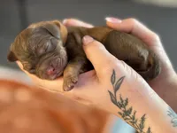 processed/8a4a3a12-6692-42a0-9c84-1f7e50eba6a7/listing/b9254e23-0004-4703-a18e-9bbd2cd78521/572f46f9-50a6-49b5-a53d-9317480054ce