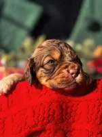 processed/8a4a3a12-6692-42a0-9c84-1f7e50eba6a7/listing/b9254e23-0004-4703-a18e-9bbd2cd78521/844266cf-b0cb-46c0-9e48-b4dcd7662941