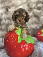 processed/8a4a3a12-6692-42a0-9c84-1f7e50eba6a7/listing/b9254e23-0004-4703-a18e-9bbd2cd78521/c0b91eb7-def3-4f40-b690-2e844f542f99