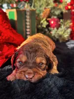 processed/8a4a3a12-6692-42a0-9c84-1f7e50eba6a7/listing/b9254e23-0004-4703-a18e-9bbd2cd78521/d3967865-bb6e-4a90-8373-75c75271aebc