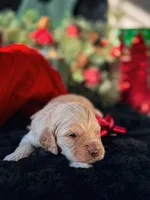 processed/8a4a3a12-6692-42a0-9c84-1f7e50eba6a7/listing/c7b92307-7c27-46a9-97f4-1293fbf4cf84/74f16d41-3d5f-4be7-8c3b-77b9045350fd