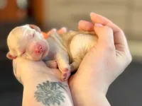 processed/8a4a3a12-6692-42a0-9c84-1f7e50eba6a7/listing/c7b92307-7c27-46a9-97f4-1293fbf4cf84/9c153e34-e046-4d8e-81f7-060144e2bf07