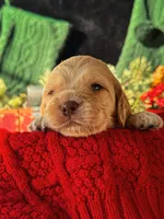 processed/8a4a3a12-6692-42a0-9c84-1f7e50eba6a7/listing/c7b92307-7c27-46a9-97f4-1293fbf4cf84/c5e4930f-8a83-434c-8d1c-2aff9b588ae1