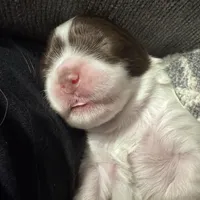 processed/8a4dd9b2-9c39-442c-9067-7e28aaf62e39/facility/11f28f1e-ce39-43ba-9b59-fcb27567db37