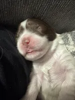 processed/8a4dd9b2-9c39-442c-9067-7e28aaf62e39/facility/11f28f1e-ce39-43ba-9b59-fcb27567db37