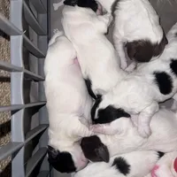 processed/8a4dd9b2-9c39-442c-9067-7e28aaf62e39/facility/2f35bd85-cf7f-404c-b3f4-11bdae5b7969