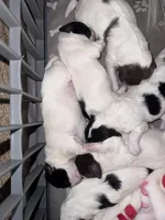 processed/8a4dd9b2-9c39-442c-9067-7e28aaf62e39/facility/2f35bd85-cf7f-404c-b3f4-11bdae5b7969