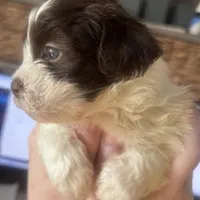 processed/8a4dd9b2-9c39-442c-9067-7e28aaf62e39/facility/68e8aeee-5281-41fa-b0e3-ed1228bf4f3f