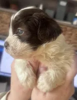 processed/8a4dd9b2-9c39-442c-9067-7e28aaf62e39/facility/68e8aeee-5281-41fa-b0e3-ed1228bf4f3f