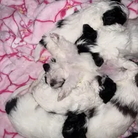 processed/8a4dd9b2-9c39-442c-9067-7e28aaf62e39/facility/966b28d2-b036-4790-9ae3-fcc218c63e5b