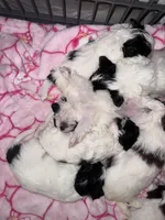 processed/8a4dd9b2-9c39-442c-9067-7e28aaf62e39/facility/966b28d2-b036-4790-9ae3-fcc218c63e5b