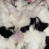 processed/8a4dd9b2-9c39-442c-9067-7e28aaf62e39/facility/c45e964e-e6a7-4d1b-b0a8-b4520456e8ac