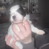 processed/8a4dd9b2-9c39-442c-9067-7e28aaf62e39/facility/d06005a4-d5b2-4cfa-99bd-b55e612e9f50