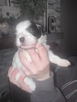 processed/8a4dd9b2-9c39-442c-9067-7e28aaf62e39/facility/d06005a4-d5b2-4cfa-99bd-b55e612e9f50