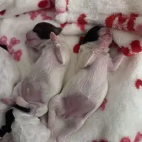 processed/8a4dd9b2-9c39-442c-9067-7e28aaf62e39/facility/e72975b0-24a9-4fd2-ae6b-c0dc97e308d6