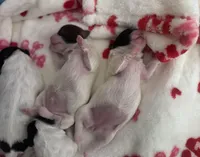 processed/8a4dd9b2-9c39-442c-9067-7e28aaf62e39/facility/e72975b0-24a9-4fd2-ae6b-c0dc97e308d6