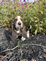 processed/8a508ee6-ea83-4bad-820d-d4cc38762d74/listing/c8ca9dfc-a49b-4471-9f54-41fdf7253cd1/5d055b98-86da-4904-908e-dc8fa47a947b