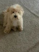 processed/8a562f0a-25f2-483d-a60a-dc16cc9c2ba1/facility/056d54fb-08ab-4c86-957b-a463c3e135e3