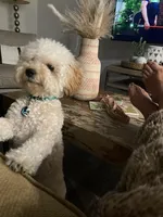 processed/8a562f0a-25f2-483d-a60a-dc16cc9c2ba1/facility/1d2924ab-cebf-4338-8088-2804225bcbf6