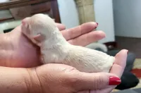 processed/8a562f0a-25f2-483d-a60a-dc16cc9c2ba1/facility/50c57bd5-d74b-4113-8f41-210504007ebe