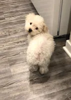 processed/8a562f0a-25f2-483d-a60a-dc16cc9c2ba1/facility/7cd0c62f-2ea5-46f2-b8fc-238a369948ae