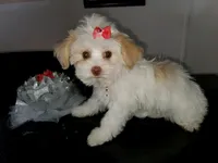 processed/8a562f0a-25f2-483d-a60a-dc16cc9c2ba1/facility/86fab3f9-68bb-4c73-a935-7e5f1f090491