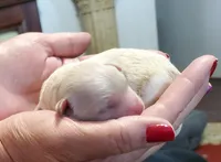 processed/8a562f0a-25f2-483d-a60a-dc16cc9c2ba1/facility/c0642f7c-a69f-4d92-a04d-685e53894569