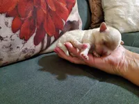 processed/8a562f0a-25f2-483d-a60a-dc16cc9c2ba1/facility/c854153b-4943-4e2d-9094-5c0f2cc27cd0