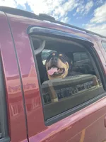 processed/8a5880cc-8ed8-48ed-891c-86495cc15841/facility/29e56590-9308-485a-91bf-0a56e28d2f76