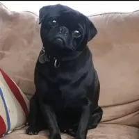 processed/8a58e1d8-0482-4e64-9fe1-36c03dfed4ea/facility/05925d01-886e-445b-9683-16caa3b1be5d