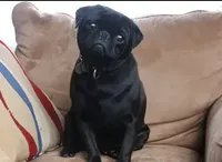 processed/8a58e1d8-0482-4e64-9fe1-36c03dfed4ea/facility/05925d01-886e-445b-9683-16caa3b1be5d