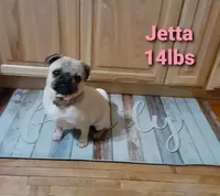 processed/8a58e1d8-0482-4e64-9fe1-36c03dfed4ea/facility/5b3d95ea-34b4-497c-a14d-3b8fba05a09c