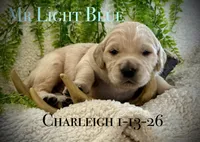 processed/8a5a7be1-8d8f-45a1-a4e0-dee28f9e707e/listing/1986bb9c-c383-46a8-bb47-18ec5bc335d1/dd78b2a7-22c2-4b3f-81ce-660c000c6e3e