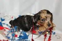 processed/8a5b7913-bf89-4754-9bc0-f23f90bef5a8/facility/7b8f33dc-f29b-407f-92ec-35cf10759a33