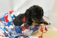 processed/8a5b7913-bf89-4754-9bc0-f23f90bef5a8/facility/c3eeabfa-3a63-4a7d-8bbd-90ff945f048f